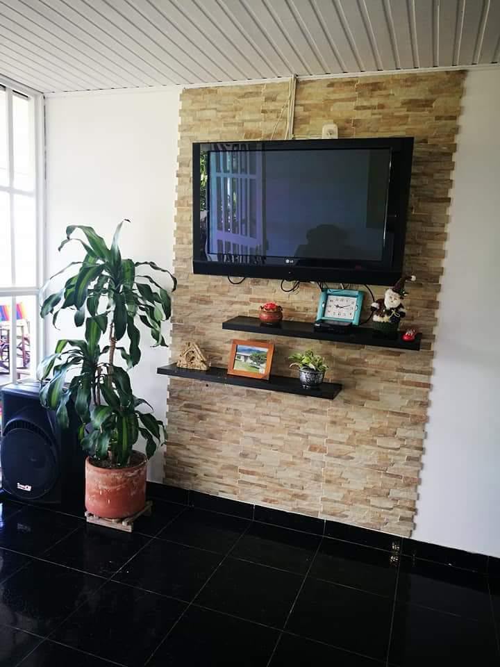 Rincón de TV con plantas